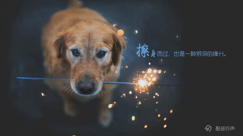 写给自己的很励志的语录干净 2022干净的又很好听的语录