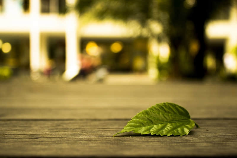 搞笑霸道表白的句子：听着，我允许你喜欢我，除了白头偕老，我们没别的选择！