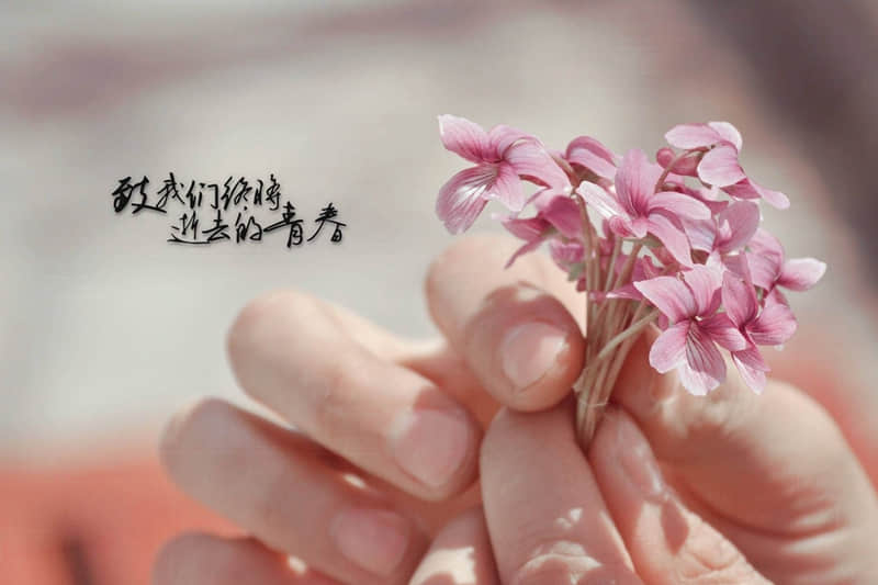 张爱玲爱情名言：生命是一袭华美的袍，爬满了蚤子