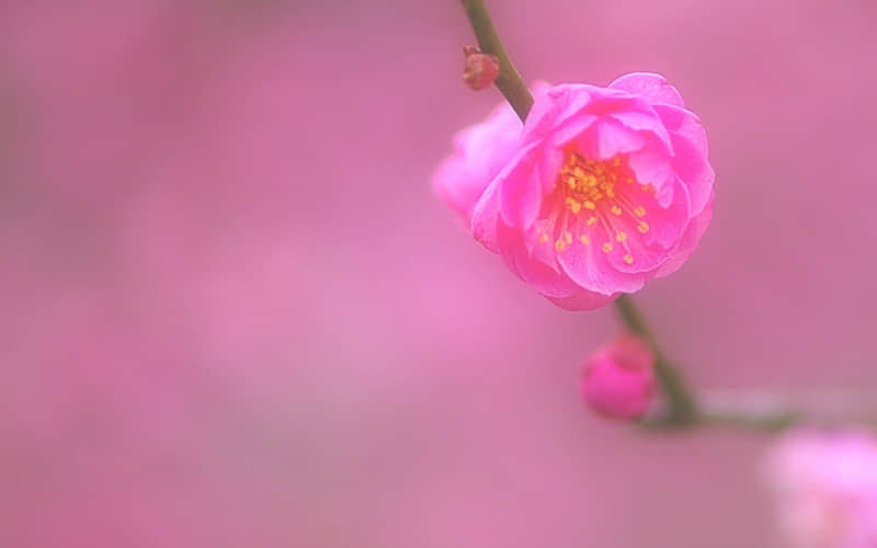 六一生日祝福语(97句)
