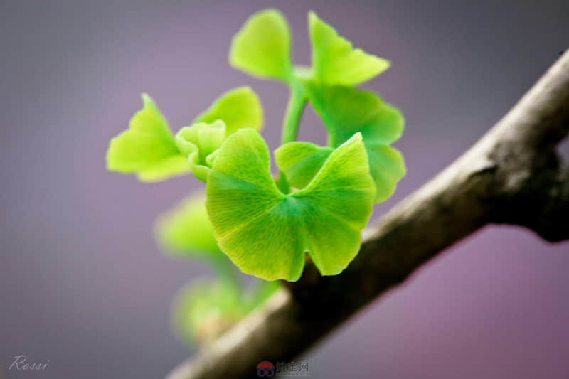 每一句话都能当座右铭(65句)