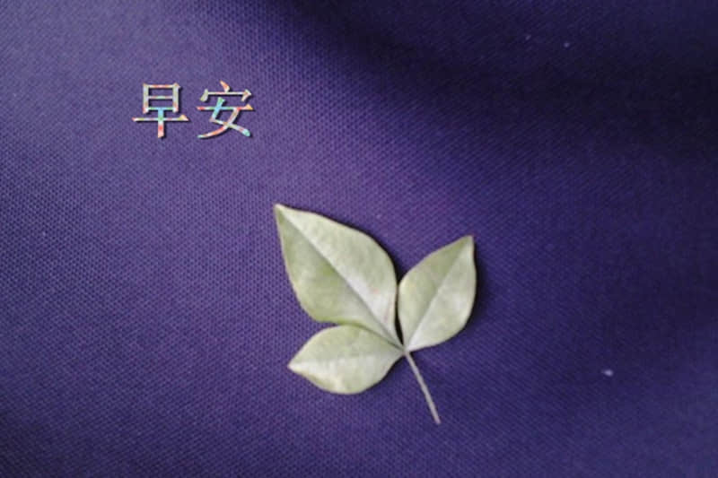 一家四口幸福的句子发朋友圈(精选73句)