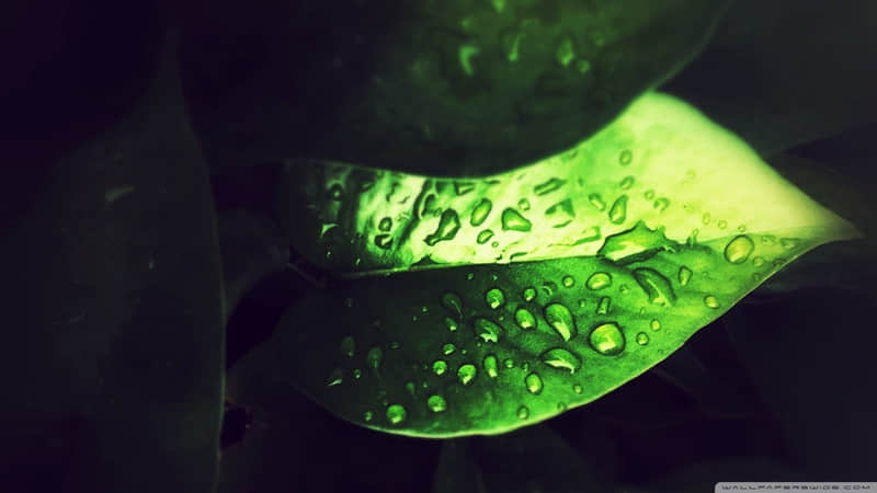 适合发朋友圈的情话 最暖心的情话短句