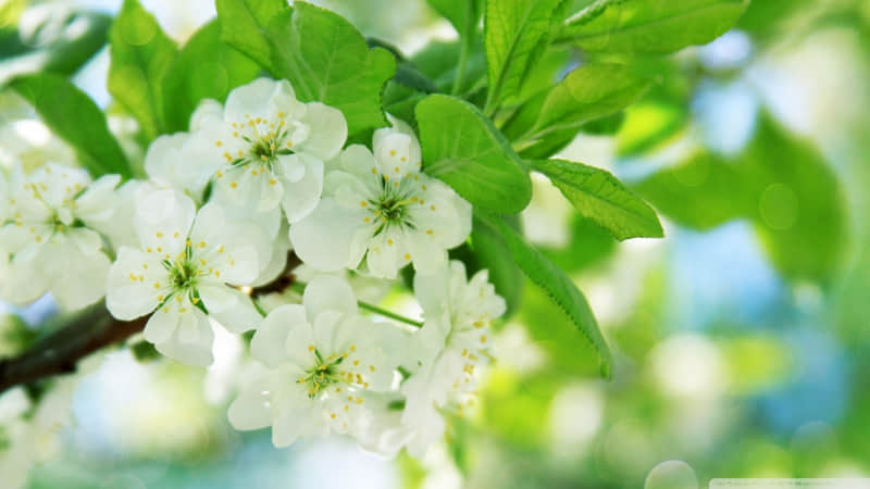 哀悼对联：上联：万里云天悲落日。下联：长著芳名于竹帛