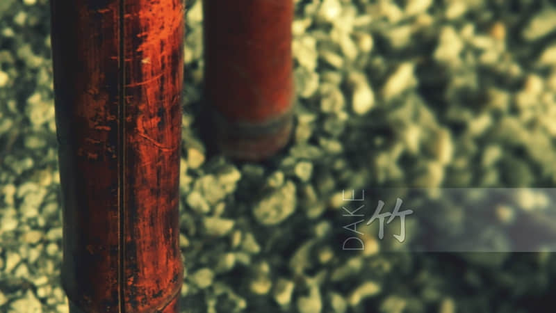 “没业绩，请开始一天一条，100%生意火爆！