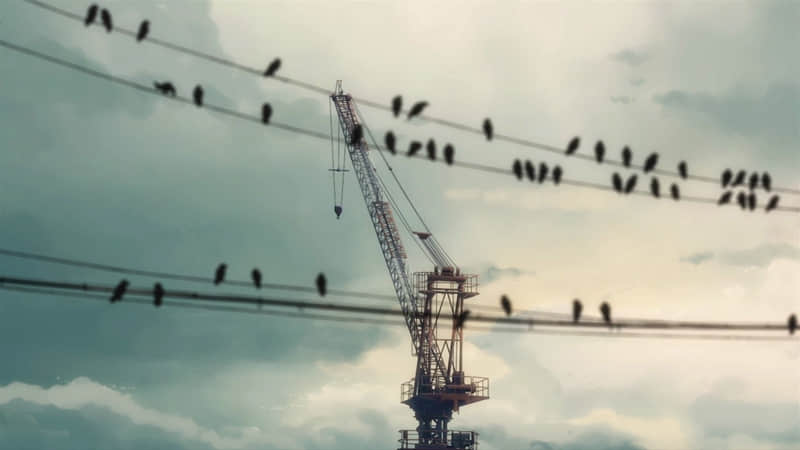 “²⁰²⁵/₀₄.₀₁ 四月，请发一条不一样的朋友圈”