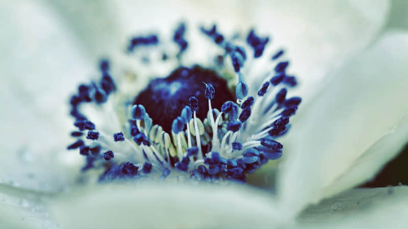 教师节对老师说的话感谢话 感恩老师最暖心一段话