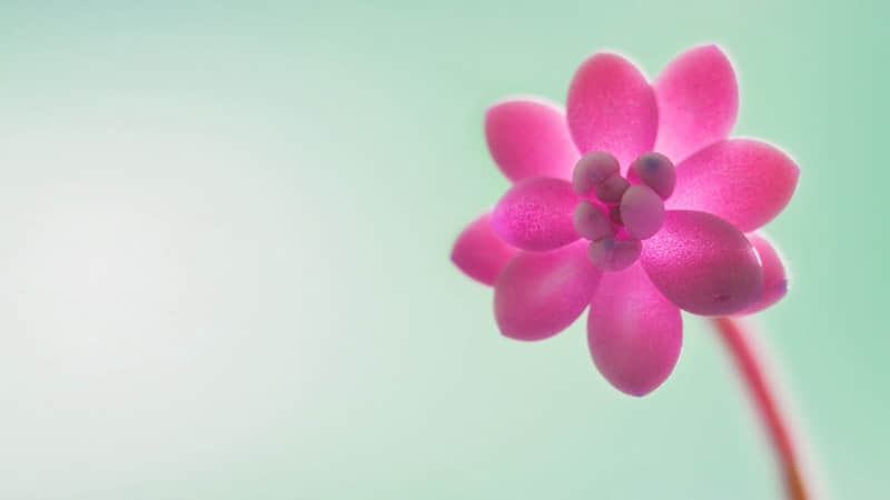 收到礼物俏皮的感谢话(60句)