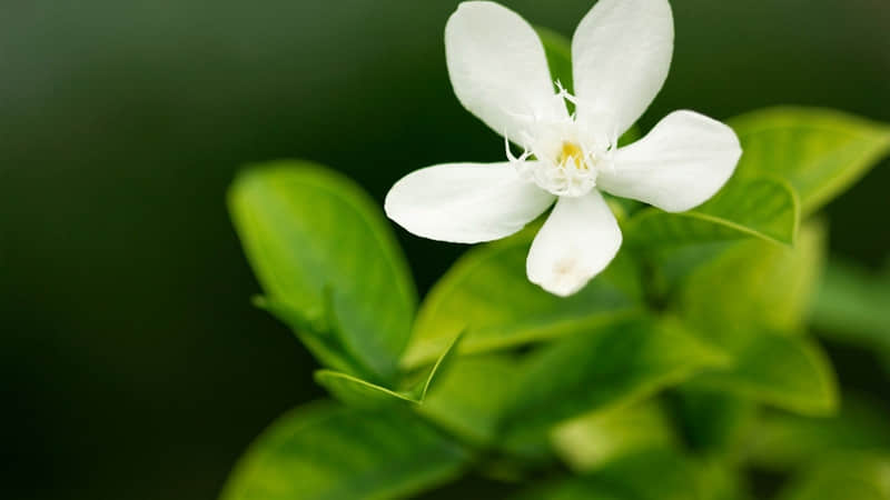 适合雨天发朋友圈正能量短句(精选53句)
