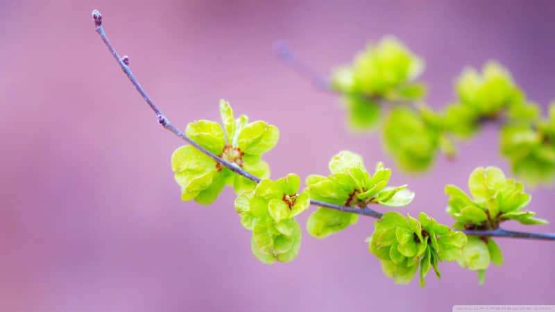 5月20日到了，该换个情侣名了