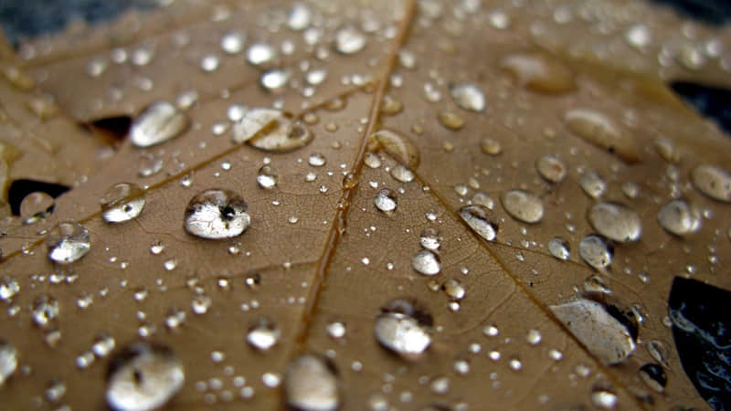 情感正能量的经典句子语录