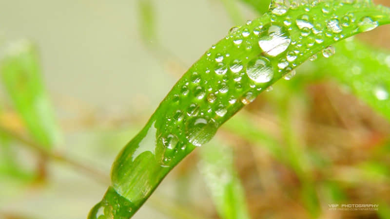 一句简短的下雨句子(63句)