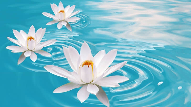 赞美春节的诗歌