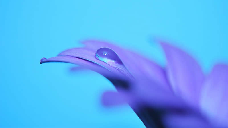 描写明月的诗句