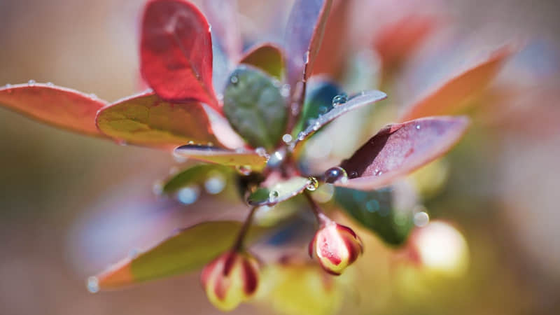 关于教育的名言：师者，人之模范