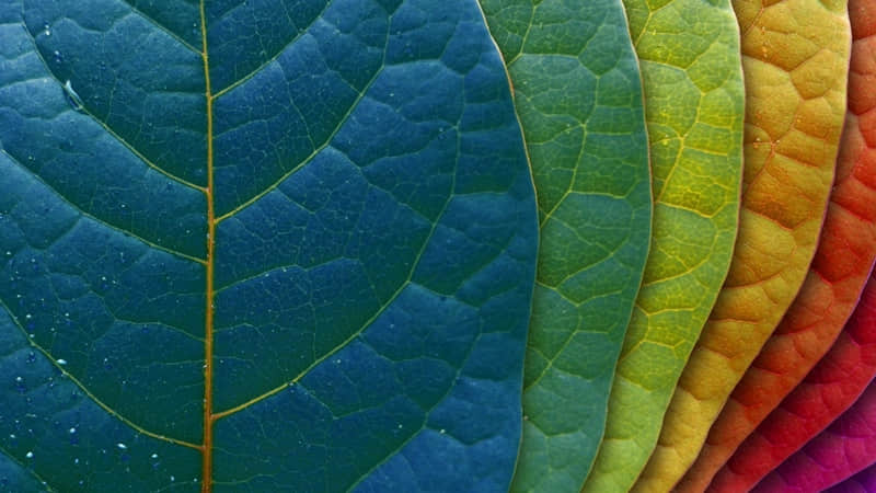 明示自己不想谈恋爱的文案 不愿意谈恋爱的句子