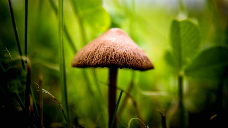 生日感慨发朋友圈低调暗示自己生日快乐 按时长大，永远年轻，永远热泪盈眶！