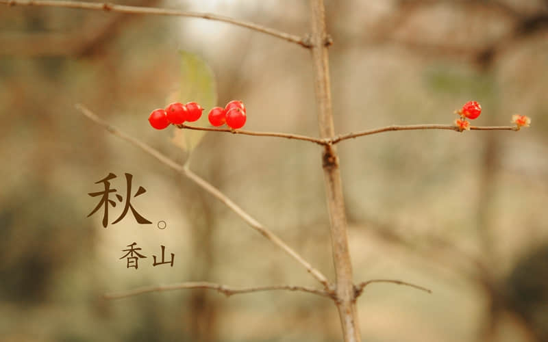超级温柔且值得分享的文案 超级温柔又很暖心的短句子