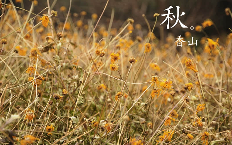 人生醒世名言警句大全 我好似一个手电筒，自信心就是我的电池，是它使我发光发亮