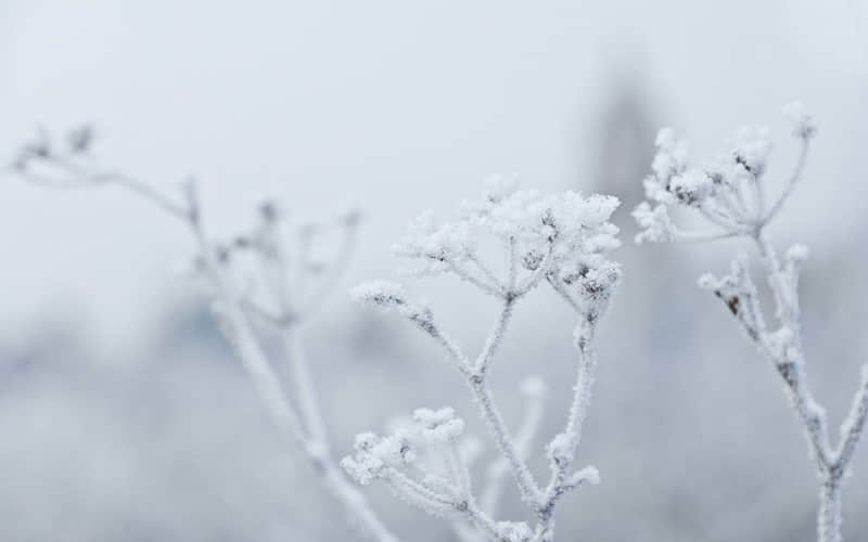 歌颂老师的诗歌
