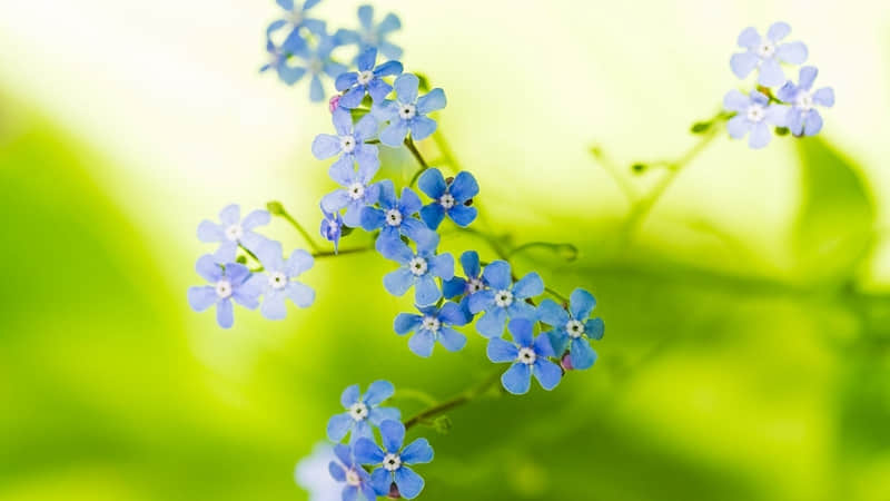 雷人语录：香烟不乖，所以我们抽烟