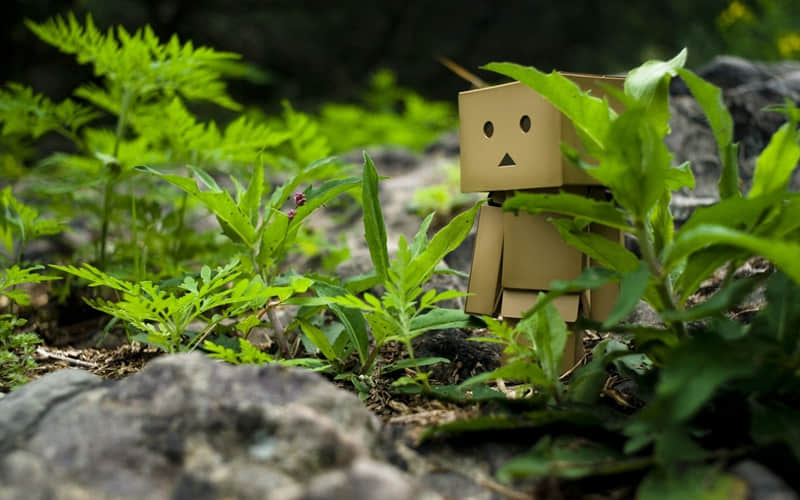 收藏的温柔且上进文案 外界的声音都是参考，你不开心就不要参考。