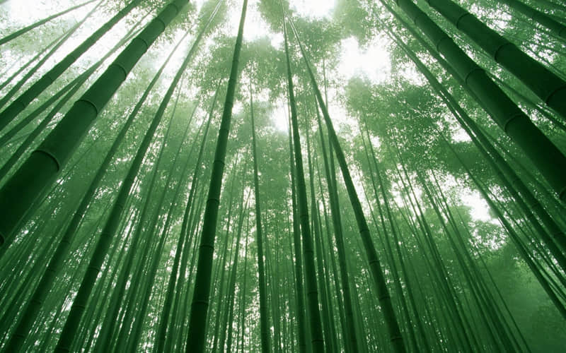 感触着那些和某人有关的过去。