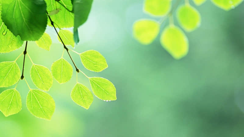 最新毒鸡汤语录很有内涵 正能量的毒鸡汤语录