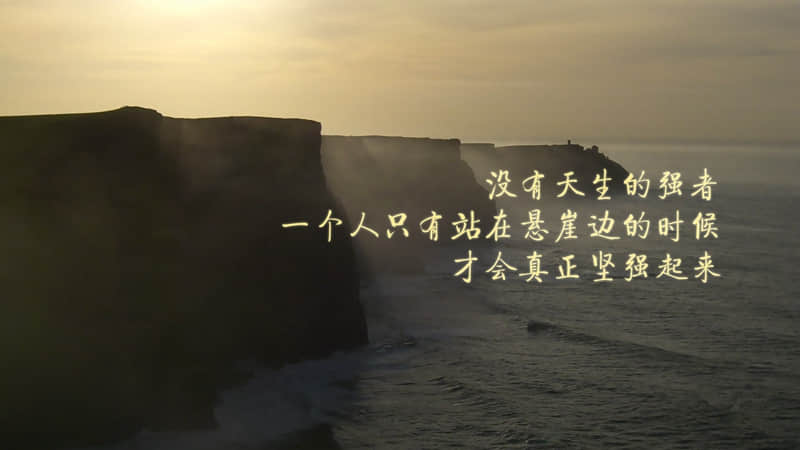 赞美女人的诗