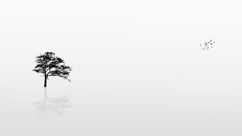 至理非常经典的读书名言：书，是人类共同的精神财富，是人类进步的阶梯