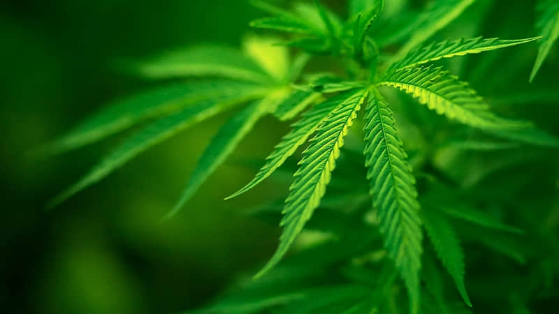 爸爸生日快乐祝福语朋友圈(54句)