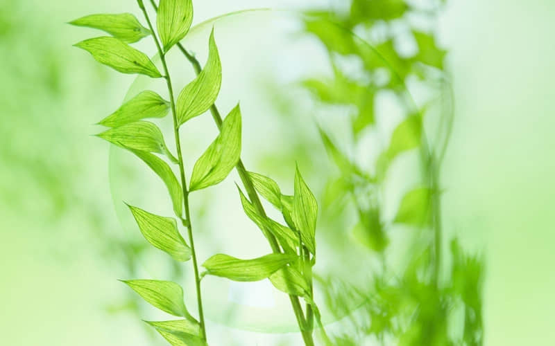 招商引资宣传标语：计划经济讲级别，市场经济讲实力，招商引资讲服务