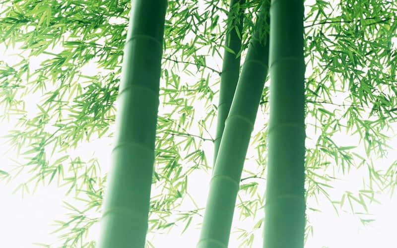 阅览室宣传标语：只带走满腹知识，不留下半点遗憾