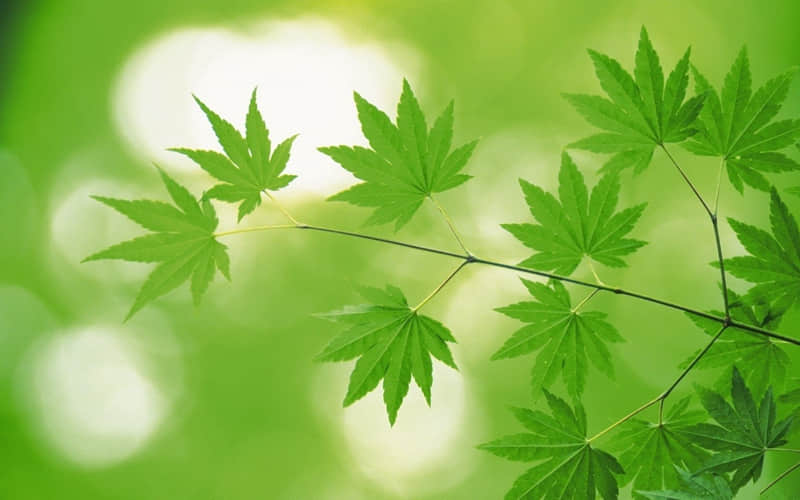 表达伤心绝望的句子