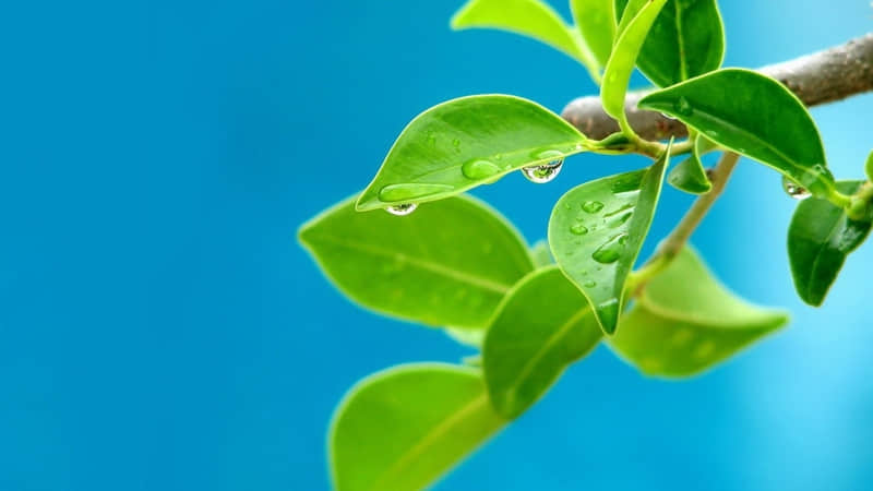 爷爷过世了发朋友圈怎么说(43句)