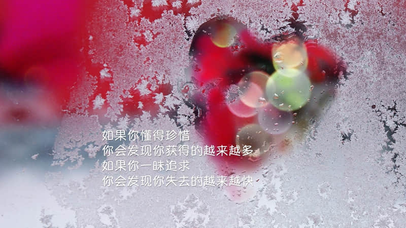 文艺一点的结婚祝福语朋友圈精选(精选65句)
