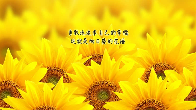 人生名言警句：人生，始终充满战斗激情