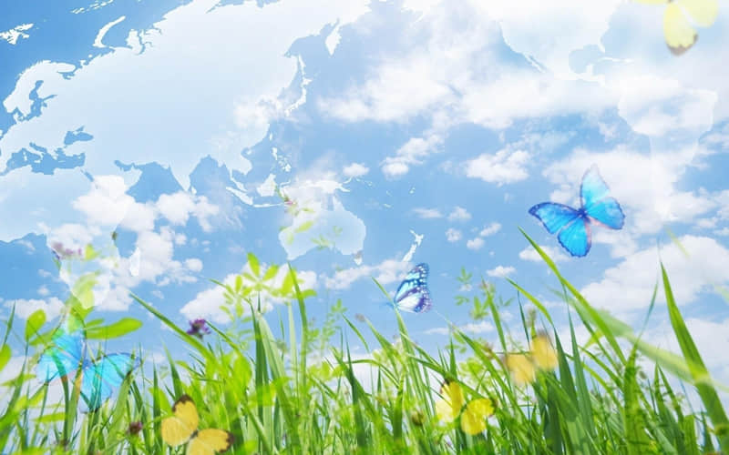 拿破仑名言：天才是像陨石一样，注定了要燃烧自己来照亮他的时代