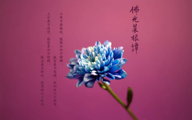 名胜古迹的对联：：青山有幸埋忠骨  白铁无辜铸佞臣