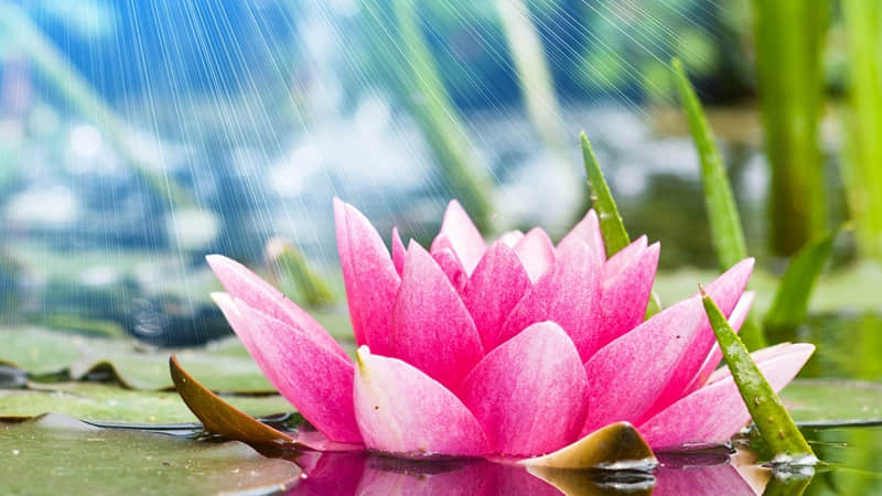 奋发向上的名言名句(精选79句)