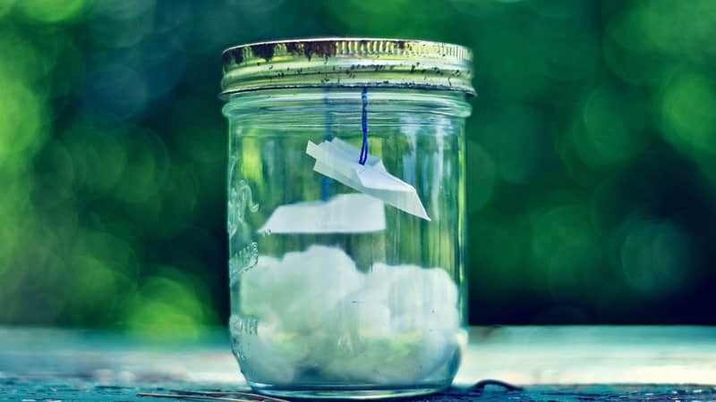 关于过清明节的个性说说：清明时节雨纷纷，寒冬已过花香闻