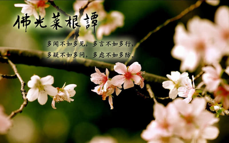 名胜古迹的对联：：青山有幸埋忠骨  白铁无辜铸佞臣