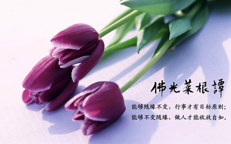 生活不需要取悦别人的句子 生活过的很开心的文案