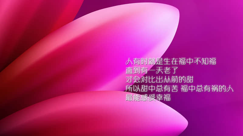 赞美青春的诗歌