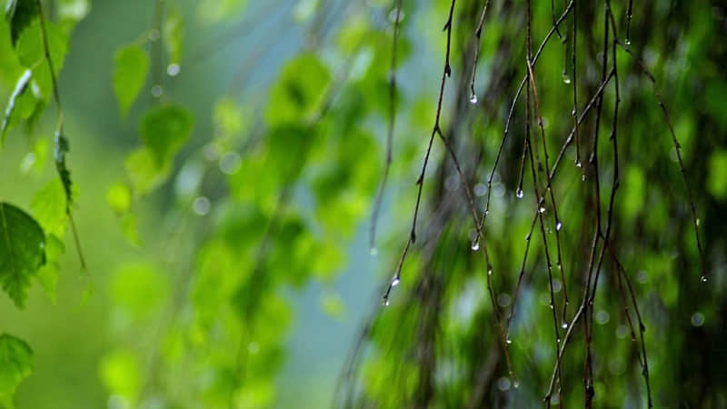 恋爱情侣发的说说大全(53句)