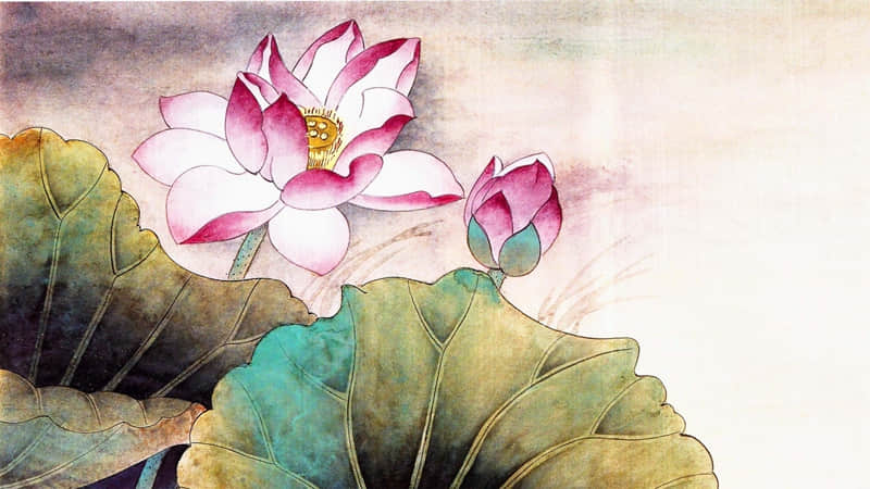 生活简简单单不复杂的说说 生活简简单单就好的说说