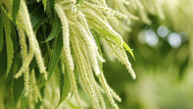 元旦手抄报宣传语简单(精选38句)
