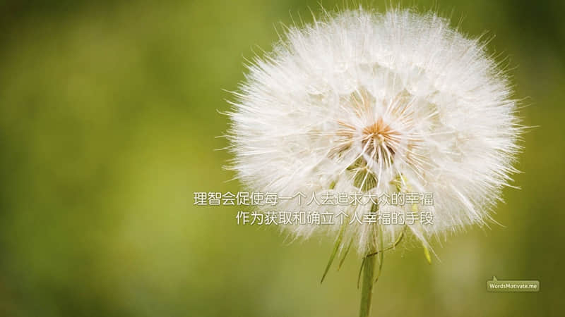 我那么差劲怎敢奢求谁会爱我如命