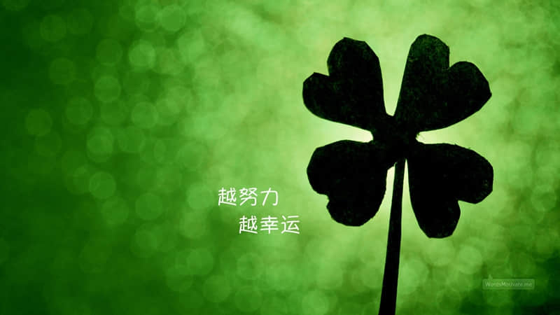 人生感悟的名言警句：人生只有必然，没有偶然