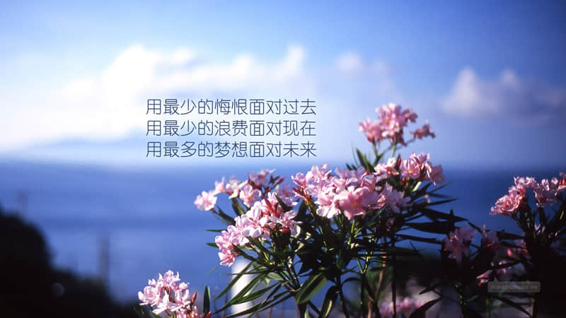 各自之间不再打扰的说说 关于互不打扰的说说